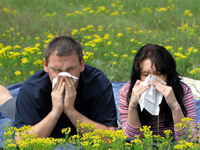 Как узнать аллергический ринит?