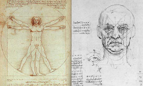 Пропорции человеческого лица и тела, указанные Леонардо да Винчи